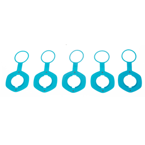 Duotone Air Port Valve II disc (SS20-onw) (5pcs) 2024  Spareparts